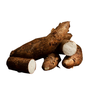 Manioc